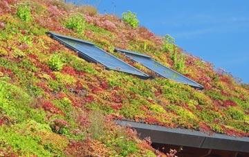 Swineshead living roof systems